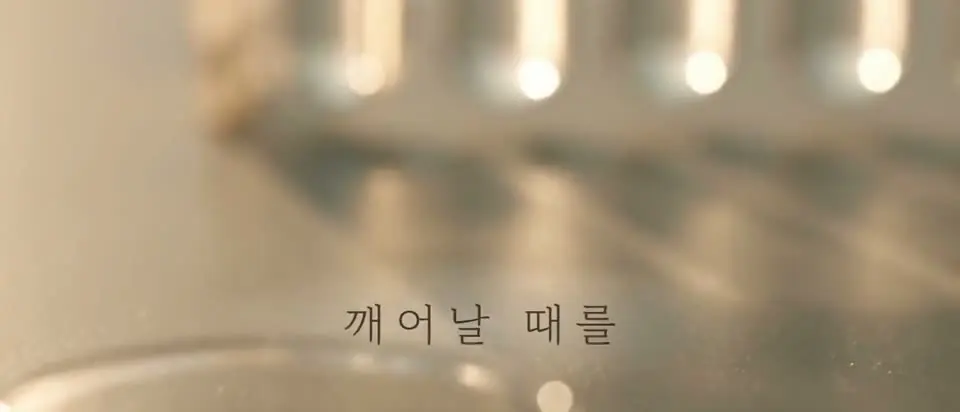 안티에이징 줄기세포