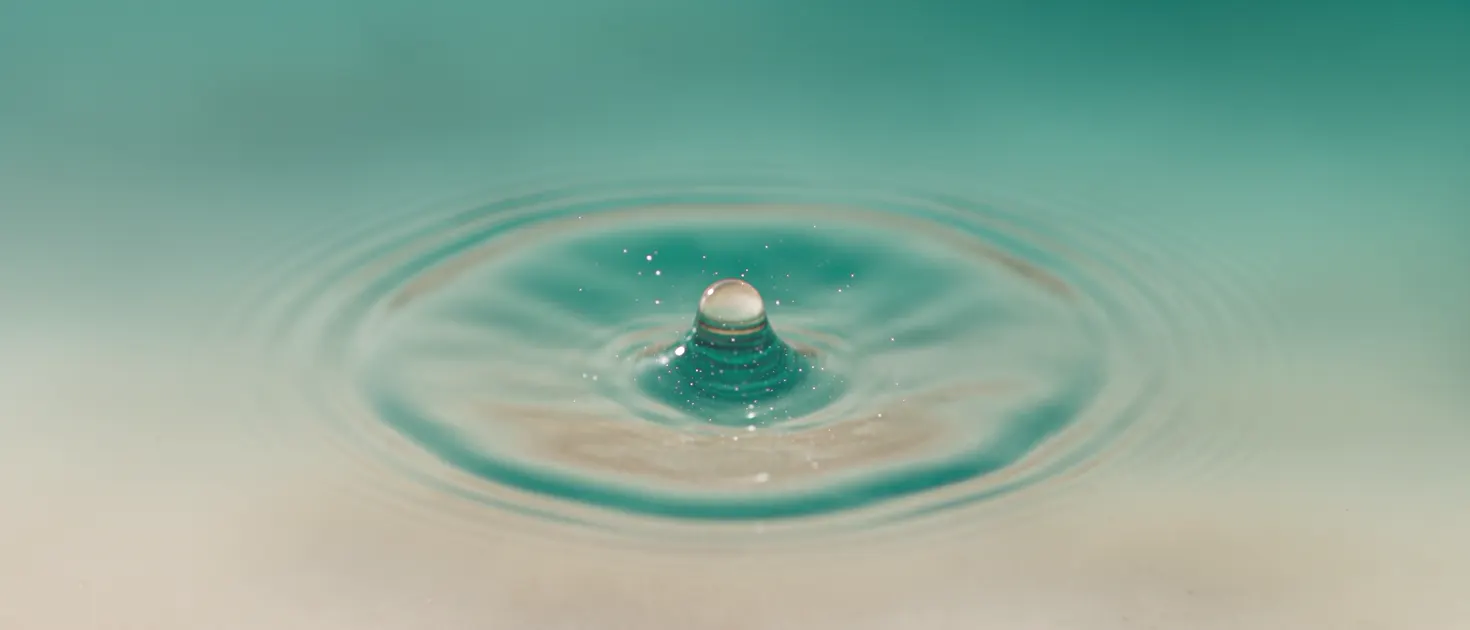 깨어날 때를
