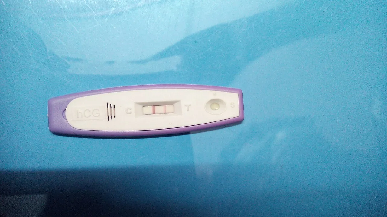 hCG 표시와 두 줄이 보이는 임신 테스트기