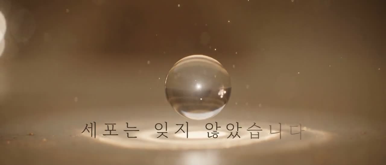 강남 수액 클리닉 베이의원 — VEI CELL · 베이 줄기세포